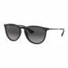 Ray-Ban RB4171 ERIKA SUNGLASSES