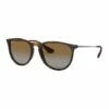 Ray-Ban RB4171 ERIKA POLARISED SUNGLASSES