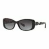 Coach HC8168 390836 Sunglasses