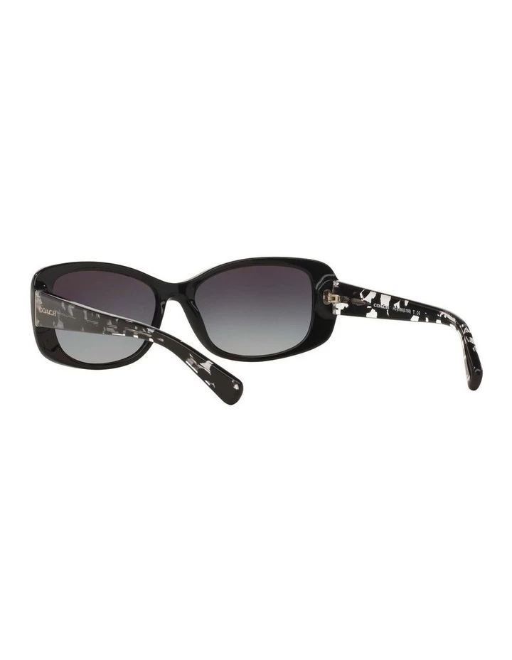 Coach HC8168 390836 Sunglasses 6 Coach HC8168 390836 Sunglasses - Image 6