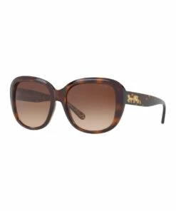 Coach HC8207F 404115 Sunglasses
