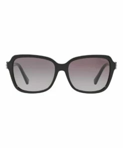 Coach HC8179F 407467 Sunglasses