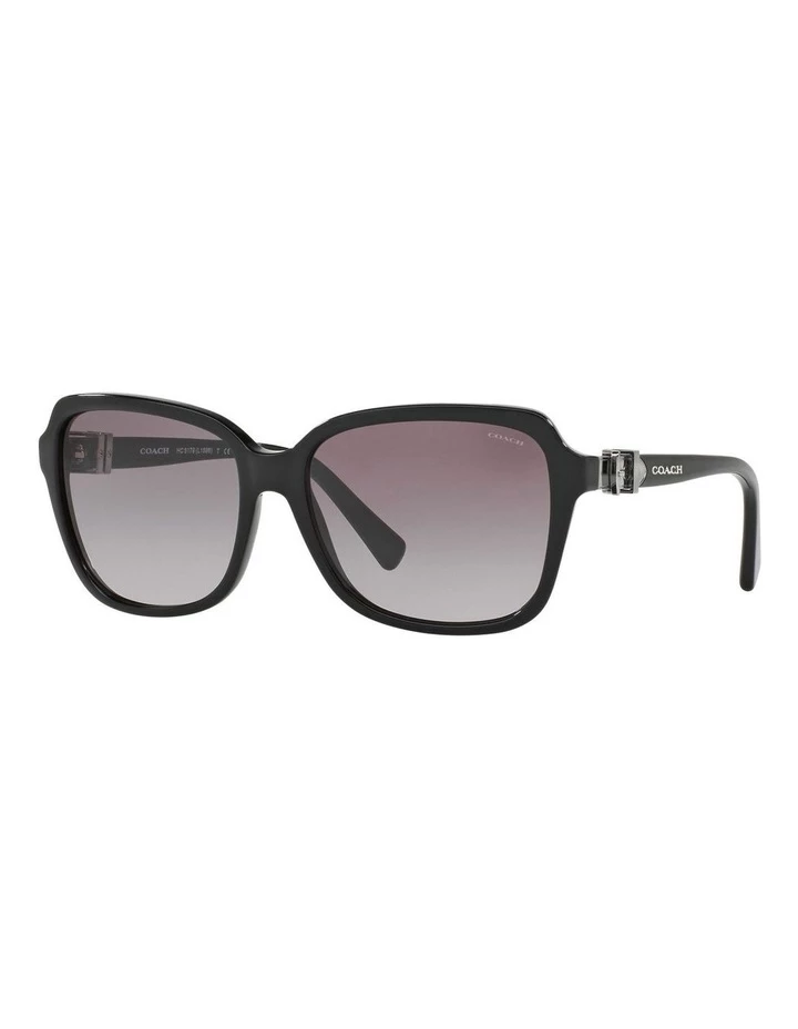 Coach HC8179F 407467 Sunglasses 2 Coach HC8179F 407467 Sunglasses - Image 2