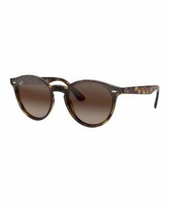 Ray-Ban RB4380N BLAZE PANTHOS SUNGLASSES