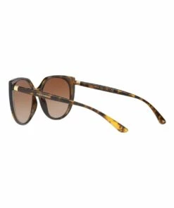 Dolce & Gabbana Brown Cat Eye Sunglasses DG6119 437501 -RAY-BAN Online Store 627168250 5 720x928