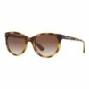 Sunglass Hut Collection Brown Cat Eye Sunglasses HU2011 437238