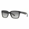 Sunglass Hut Collection HU2012 437239 Sunglasses