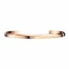 Daniel Wellington Classic Small Rose Gold Bracelet