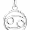 Mocha Cancer Zodiac Charm