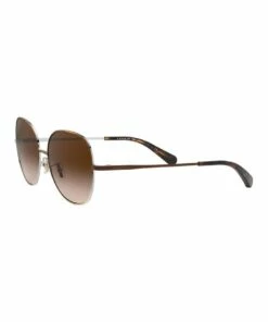 Coach Brown Round Sunglasses 0HC7108 1525817001 -RAY-BAN Online Store 771743620 3 720x928
