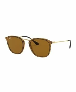 Ray-Ban Brown Square Sunglasses 0RB2448N 1513006001