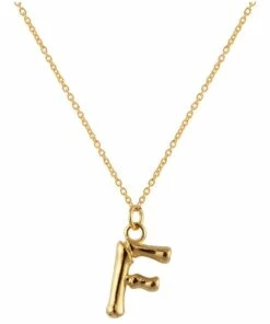 Mocha Letter F Initial Gold Necklace
