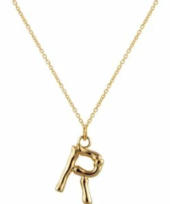 Mocha Letter R Initial Gold Necklace