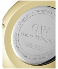 Daniel Wellington Petite Evergold 28mm Stainless Steel Watch -RAY-BAN Online Store 780605560 3 720x928