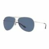 Sunglass Hut Collection 0HU1006 Sunglasses