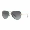 Tiffany & Co. 0TF3066 1524597003 Sunglasses