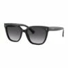 Valentino 0VA4070 1526676004 Sunglasses