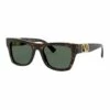 Valentino 0VA4066 1528623002 Sunglasses