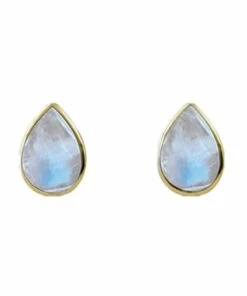 Mocha Cased Pear Moonstone Studs - Gold