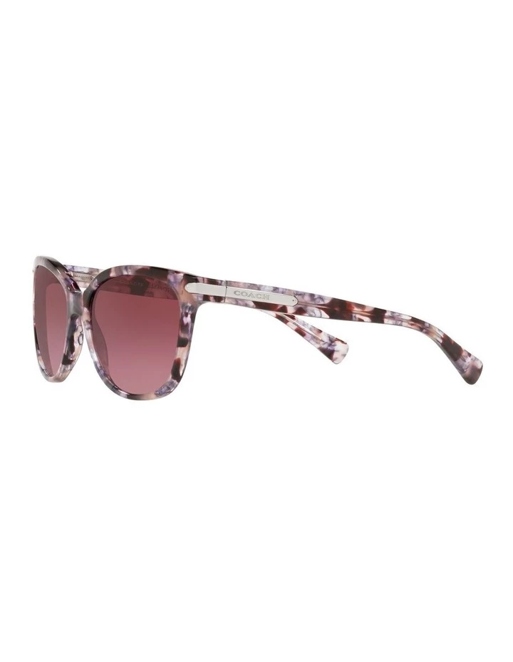 Coach 0HC8132 L109 1505724010 Sunglasses 3 Coach 0HC8132 L109 1505724010 Sunglasses - Image 3