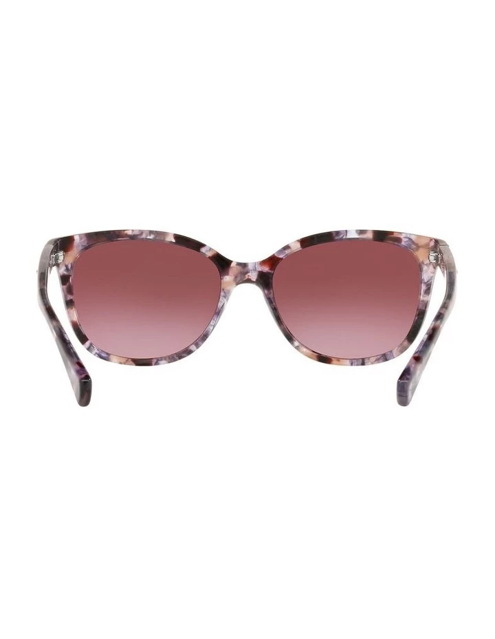 Coach 0HC8132 L109 1505724010 Sunglasses 7 Coach 0HC8132 L109 1505724010 Sunglasses - Image 7