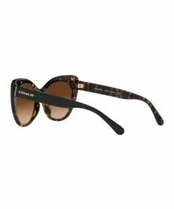 Coach 0HC8317 C3448 1534760002 Sunglasses -RAY-BAN Online Store 837122140 5 720x928