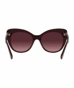 Coach 0HC8317 C3448 1534760003 Sunglasses -RAY-BAN Online Store 837122230 7 720x928