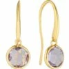 Georgini Lucent Amethyst Small Hook Earring