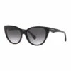Emporio Armani Black Cat Eye Sunglasses 0EA4162 1535295004