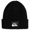 Womens Quiksilver Recycled The Beanie