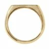 Seed Heritage Fine Signet Ring