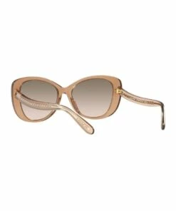Coach HC8322F C6184 Transparent Brown Sunglasses -RAY-BAN Online Store 868440430 6 720x928