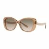 Coach HC8322 C6183 Transparent Brown Sunglasses