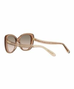 Coach HC8322 C6183 Transparent Brown Sunglasses -RAY-BAN Online Store 868441150 5 720x928
