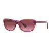 Ralph Lauren RA5283 Striped Brown Purple Sunglasses